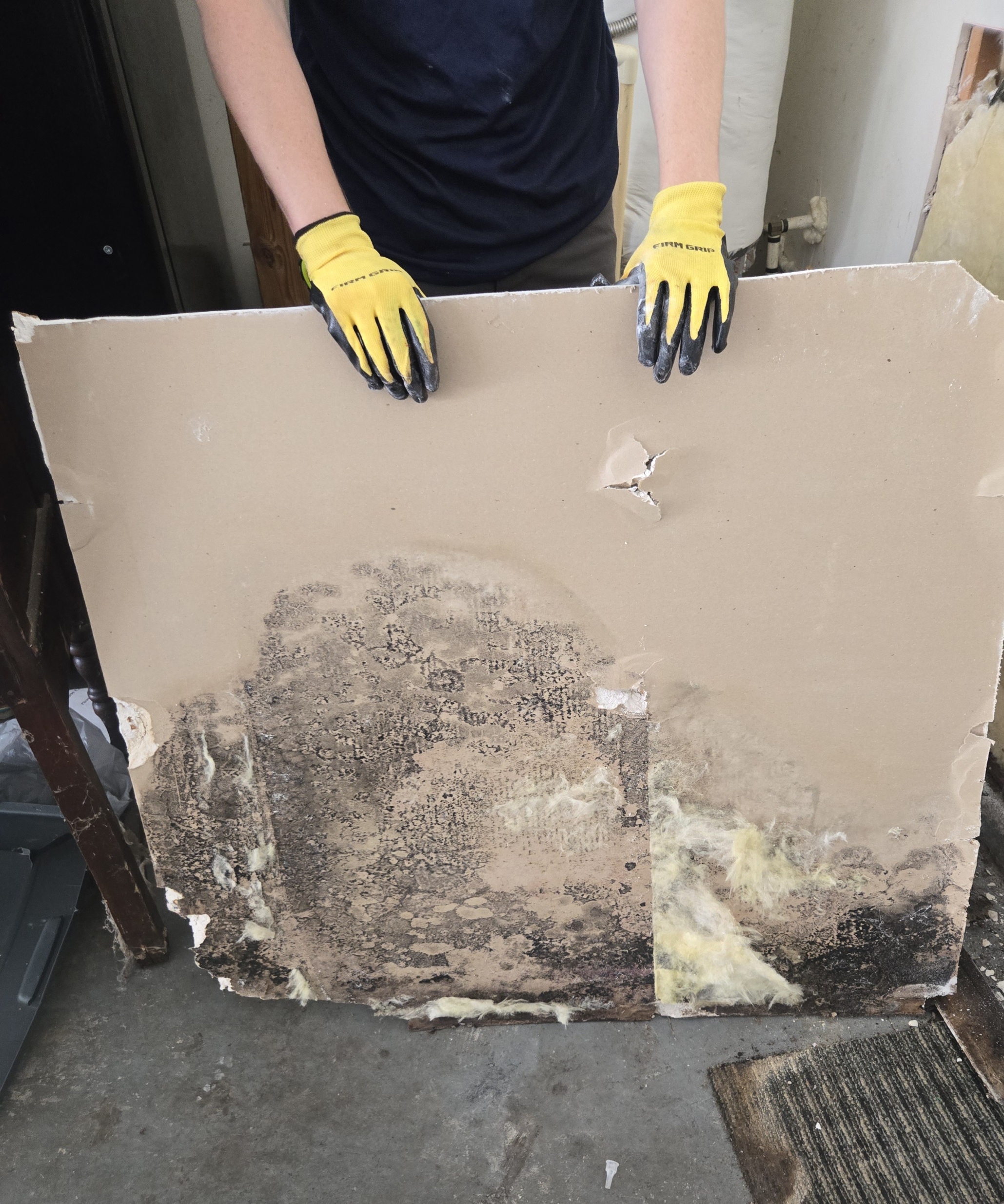 Mold Prevention and Remediation: Protecting Atlanta Homes from Hidden Health Threats
